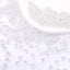 Various Colors Transparent AB Drop Shape Glass Seed Beads WholesaleRhinestone
