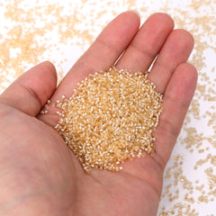 Transparent Silver-lined Champagne Color Hight Quality Glass Cylinder Seed Beads 1.6 MM Size GY2006 WholesaleRhinestone