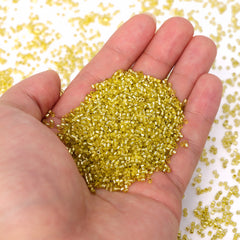 Transparent Silver-lined Light Yellow Color Hight Quality Glass Cylinder Seed Beads 1.6 MM Size GY2004 WholesaleRhinestone