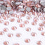 Mocha Champagne Glass FlatBack Rhinestones Silver Back WholesaleRhinestone