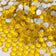 products/LEMON_YELLOW-Flatback-Non-Hot-Fix-Rhinestones-For-Nail-Art-1_a13ff6d4-9bb6-4bf5-a020-a73569307f54.jpg