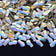 files/1_1b7f11d6-6eff-4077-a5ac-c2282282ebc1.jpg