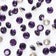 files/1_685c3247-1453-4bf8-93b5-6eef726077a3.jpg