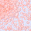 Mixed Sizes Neon Peach Pink Glass Flat Back Rhinestones For Nail Art WholesaleRhinestone