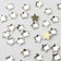 products/1_c7cf641c-74cb-46bc-a2e4-e37f5c2f54c7.jpg