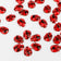 products/2_2d4b74b6-9406-4024-b039-99881eae9b47.jpg