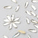 products/2_7af6e11f-5ce5-492f-bb60-8f114d8bb4db.jpg