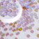 products/2_b56737ce-ab03-446d-9d7c-7da3e09c6243.jpg