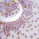 products/2_c50cbaf6-1110-4c9d-9e45-c85aaec79b36.jpg