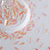 products/2_f65fd215-1a54-4937-ae9c-f867b8b3d322.jpg