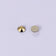 products/Aurum.jpg