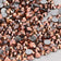 products/Pure-Rose-Gold-Non-Hot-Fix-Flat-Back-Rhinestones-For-Nail-Art-3.jpg